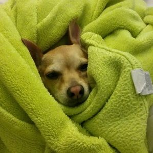 Meet your Posher, Claudia